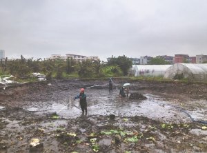 二道河道鱼塘清淤